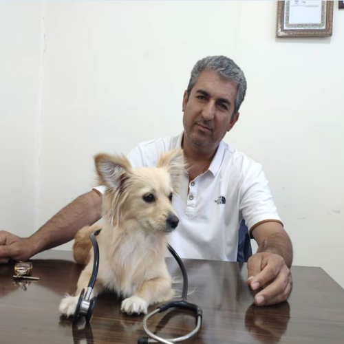 کلینیک دامپزشکی دکتر یوسف عطاالهی
